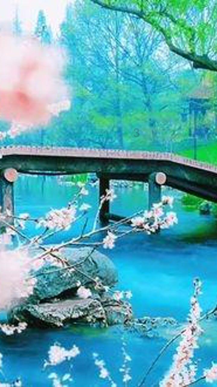 市市场监管局：守护烟火气 把好年货关